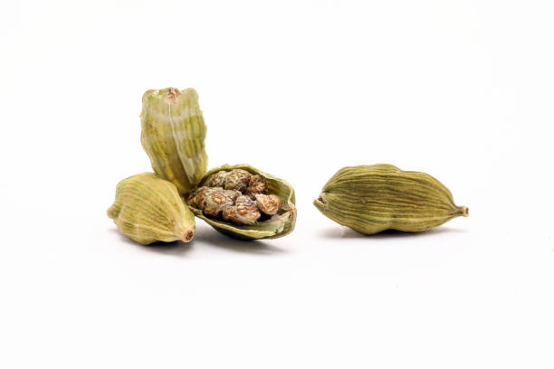 Fresh Cardamom Seeds